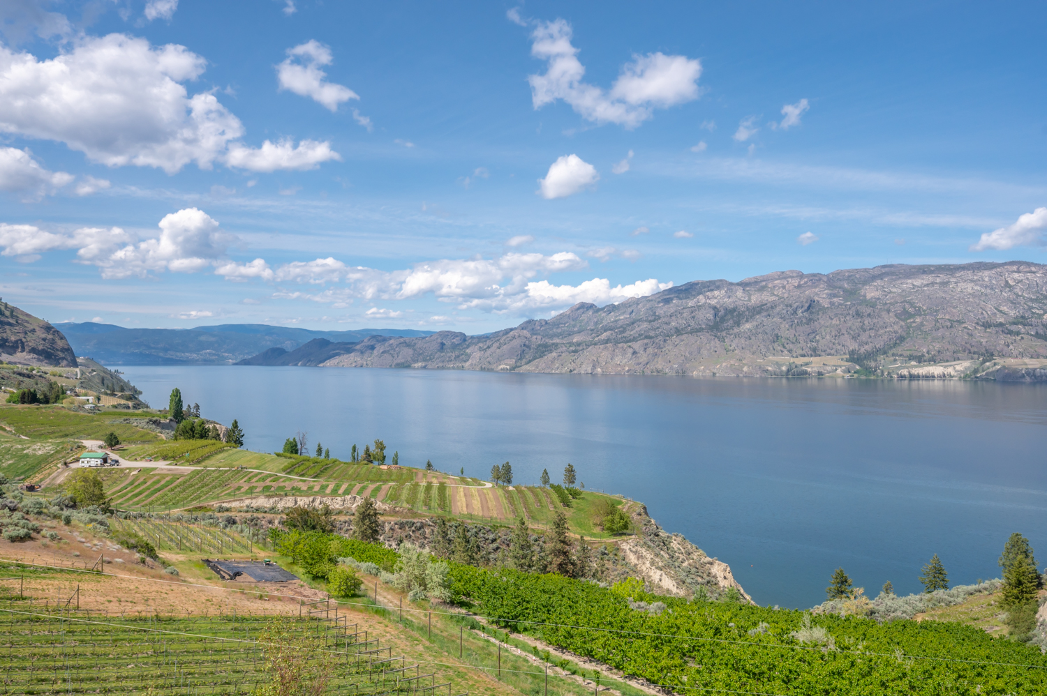 Okanagan Real Estate Market Update for Summer 2021