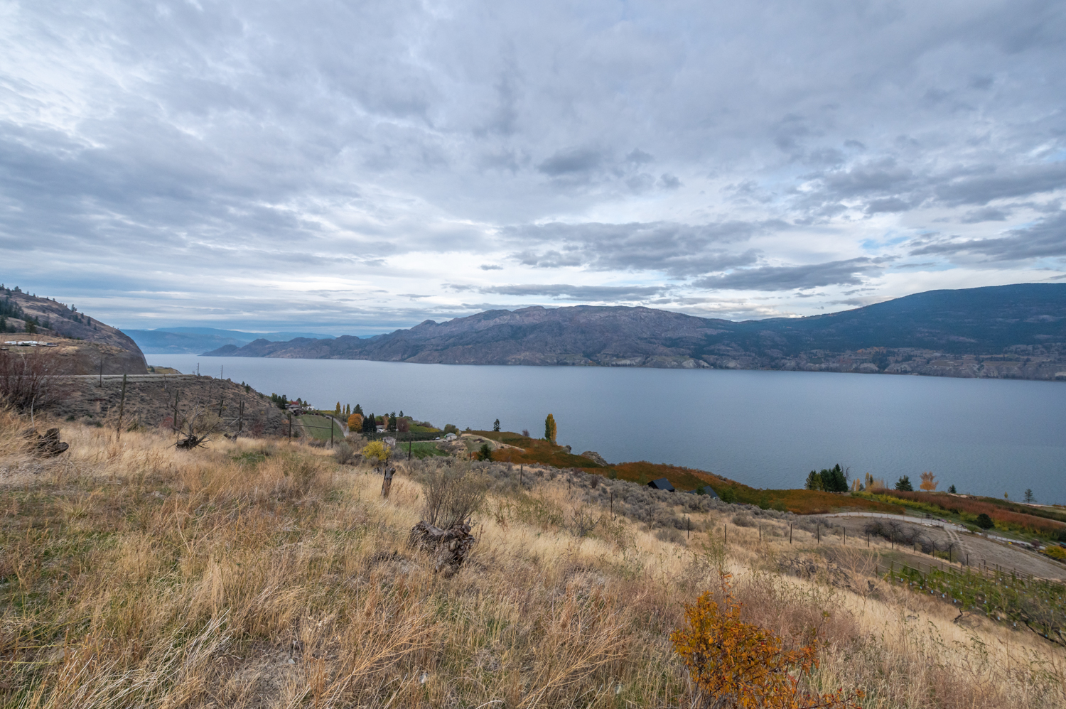 19741 Matsu Drive Summerland