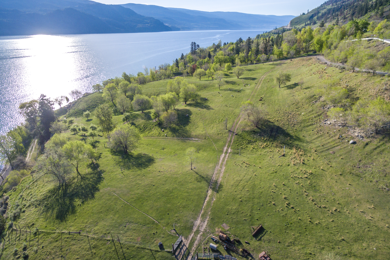619-633 Hwy 97 N Summerland V0H 1Z6