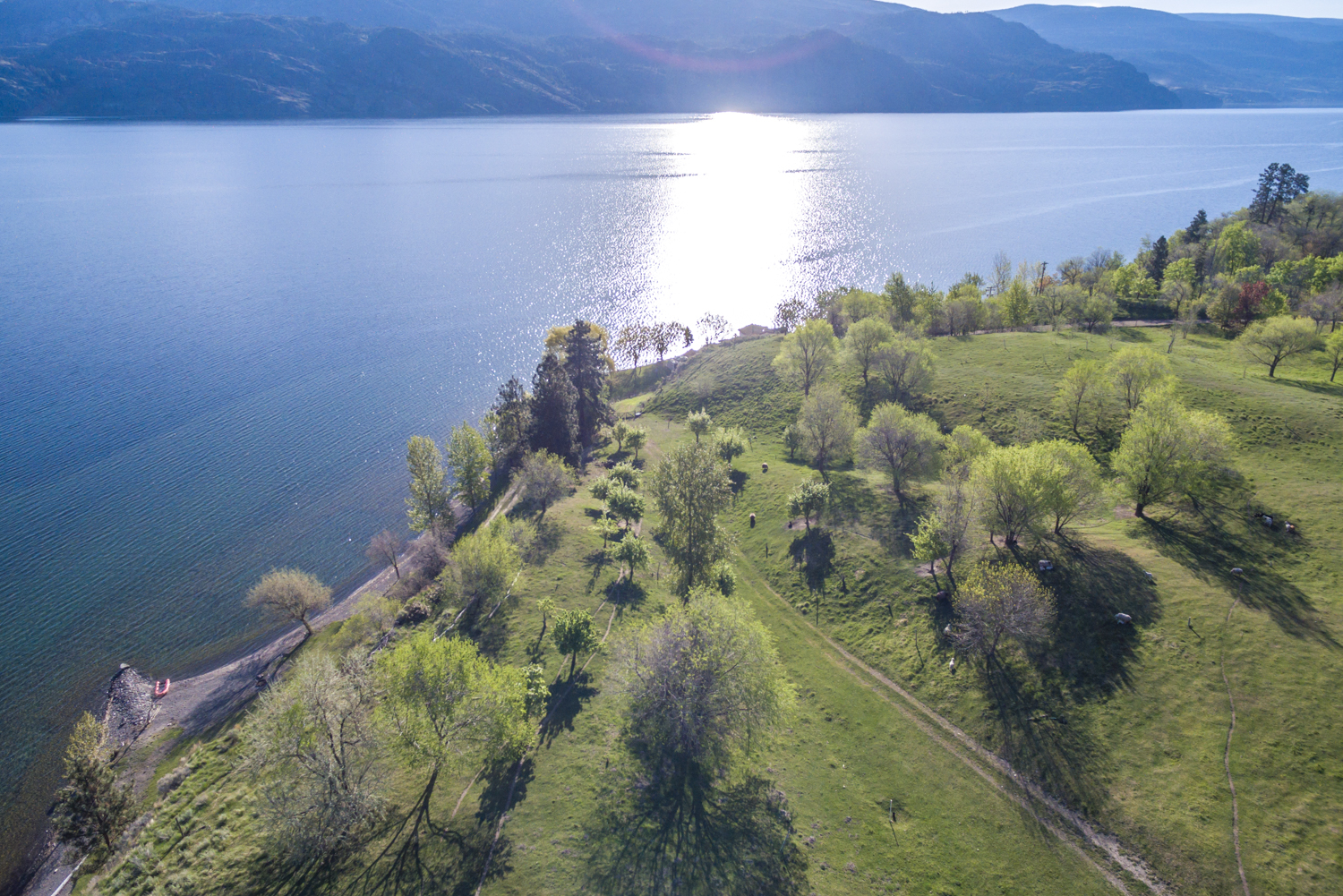 633 & 635 Hwy 97 N Summerland V0H 1Z6