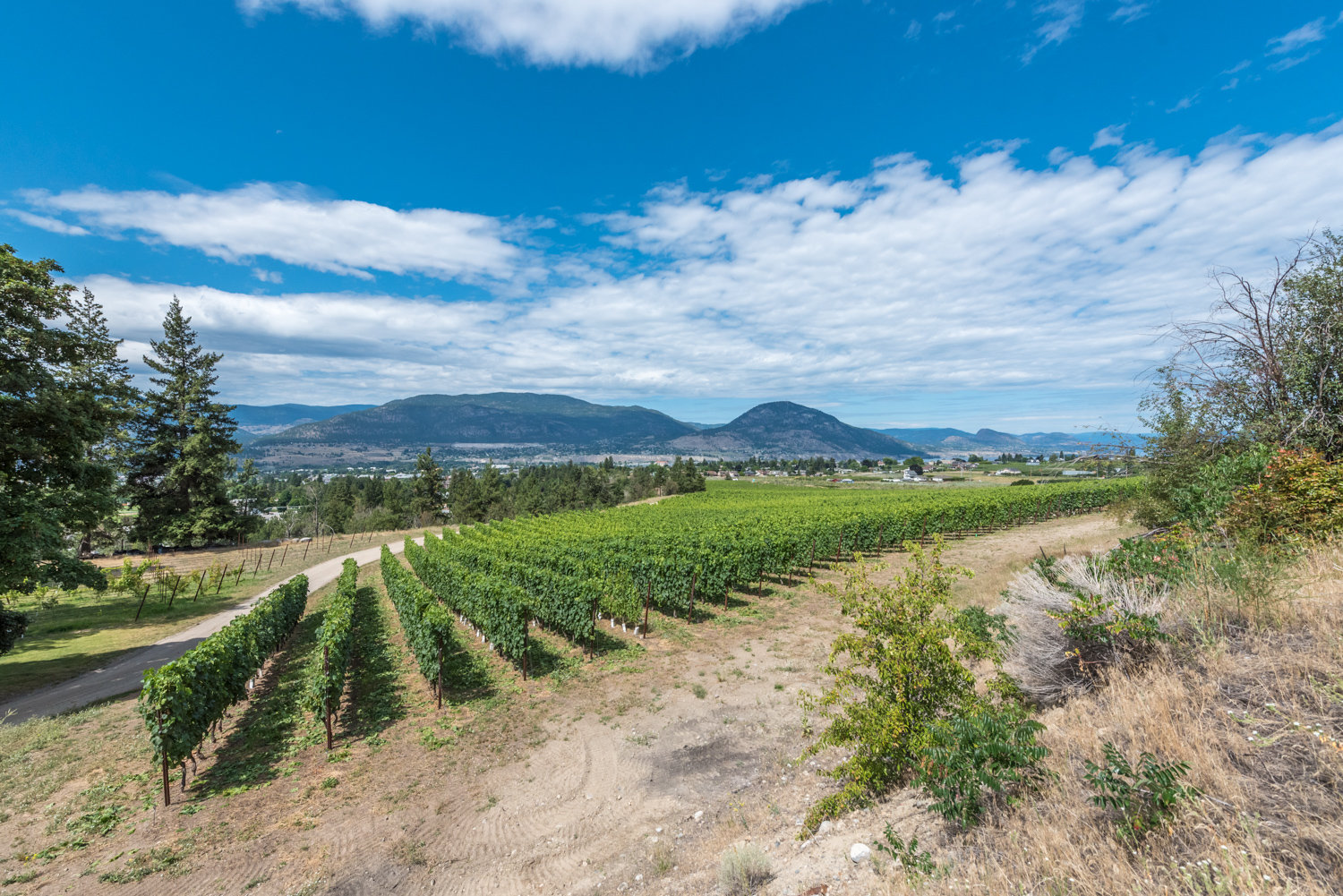 810 Hudson Street Penticton V2A 8S9