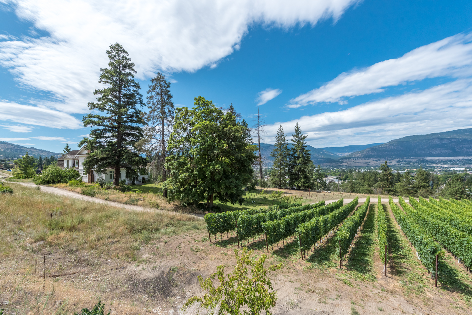 810 Hudson Street Penticton V2A 8S9