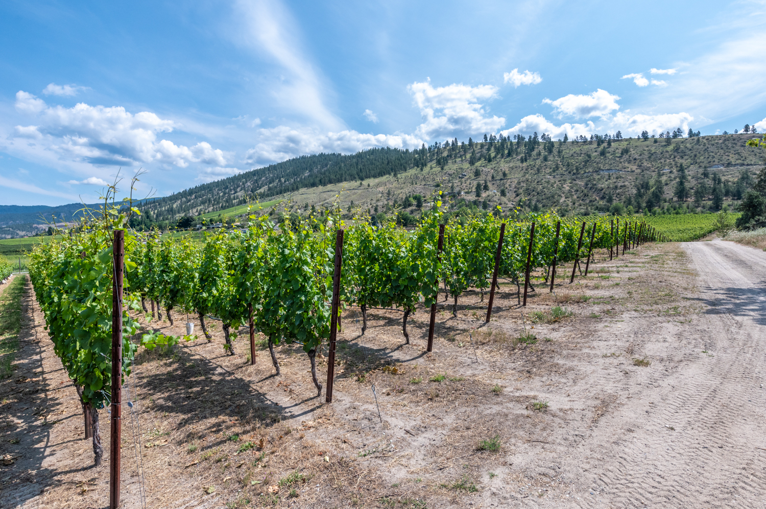 810 Hudson Street Penticton V2A 8S9