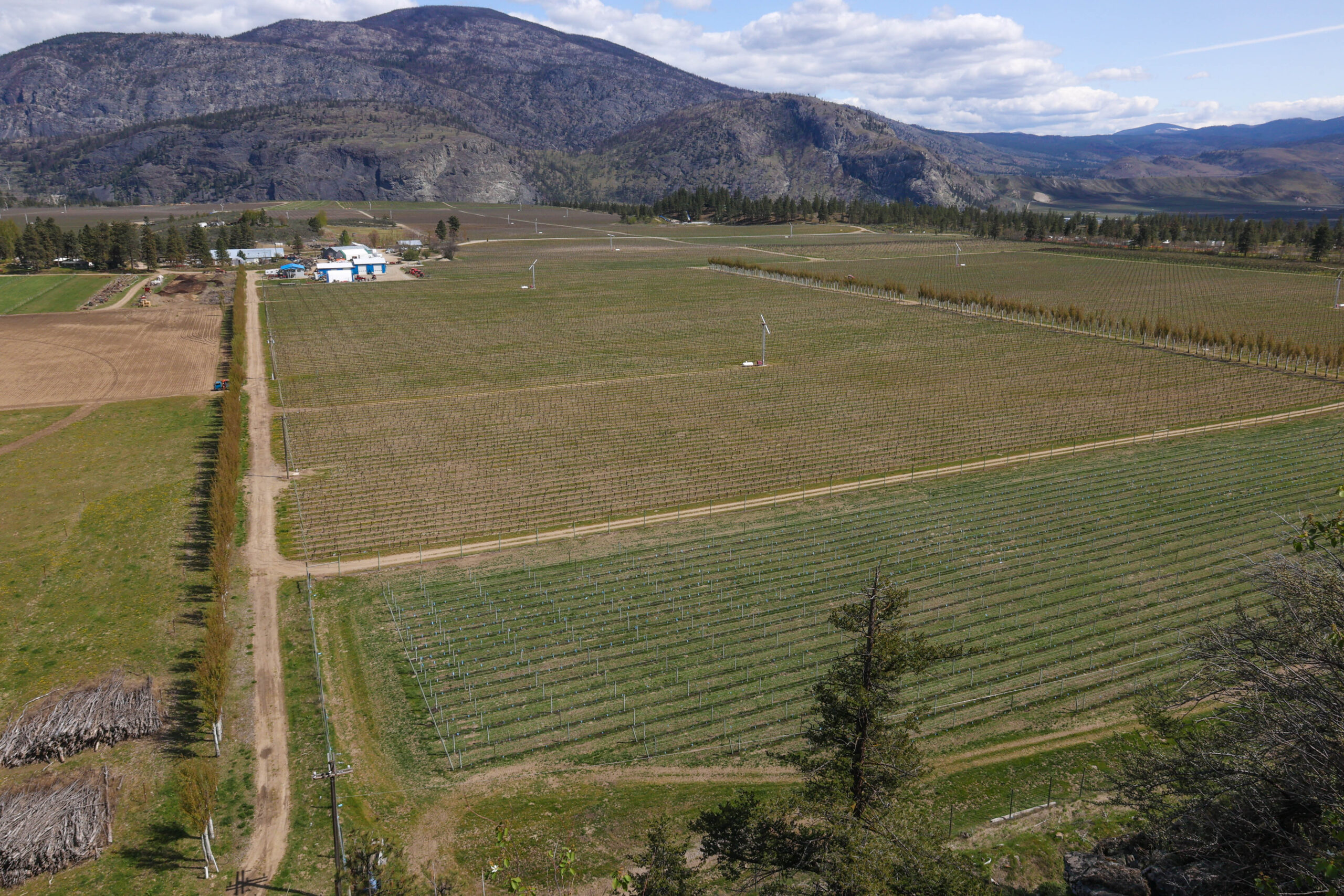 107 Street - Covert Farms