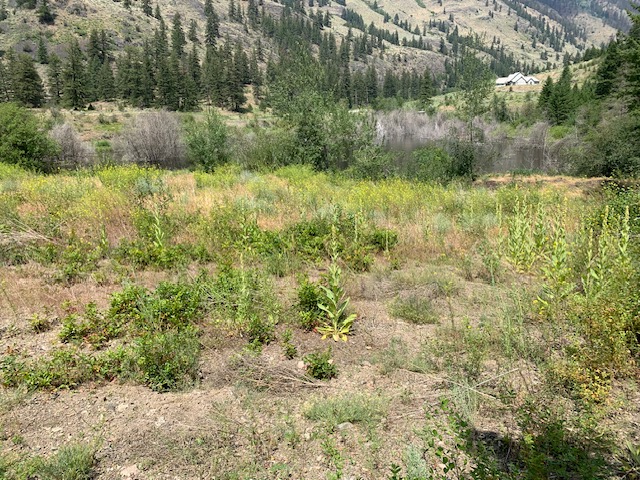 1820 White Lake Road Keremeos V0X 1N0