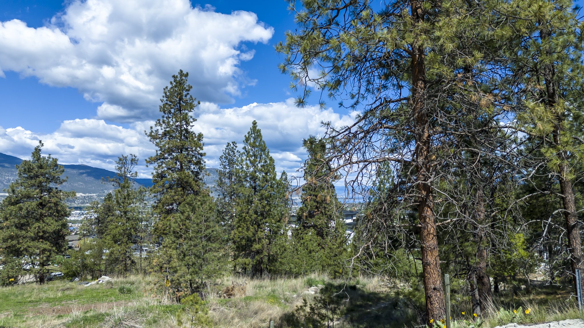 2840 Evergreen Drive Penticton V2A 7T1