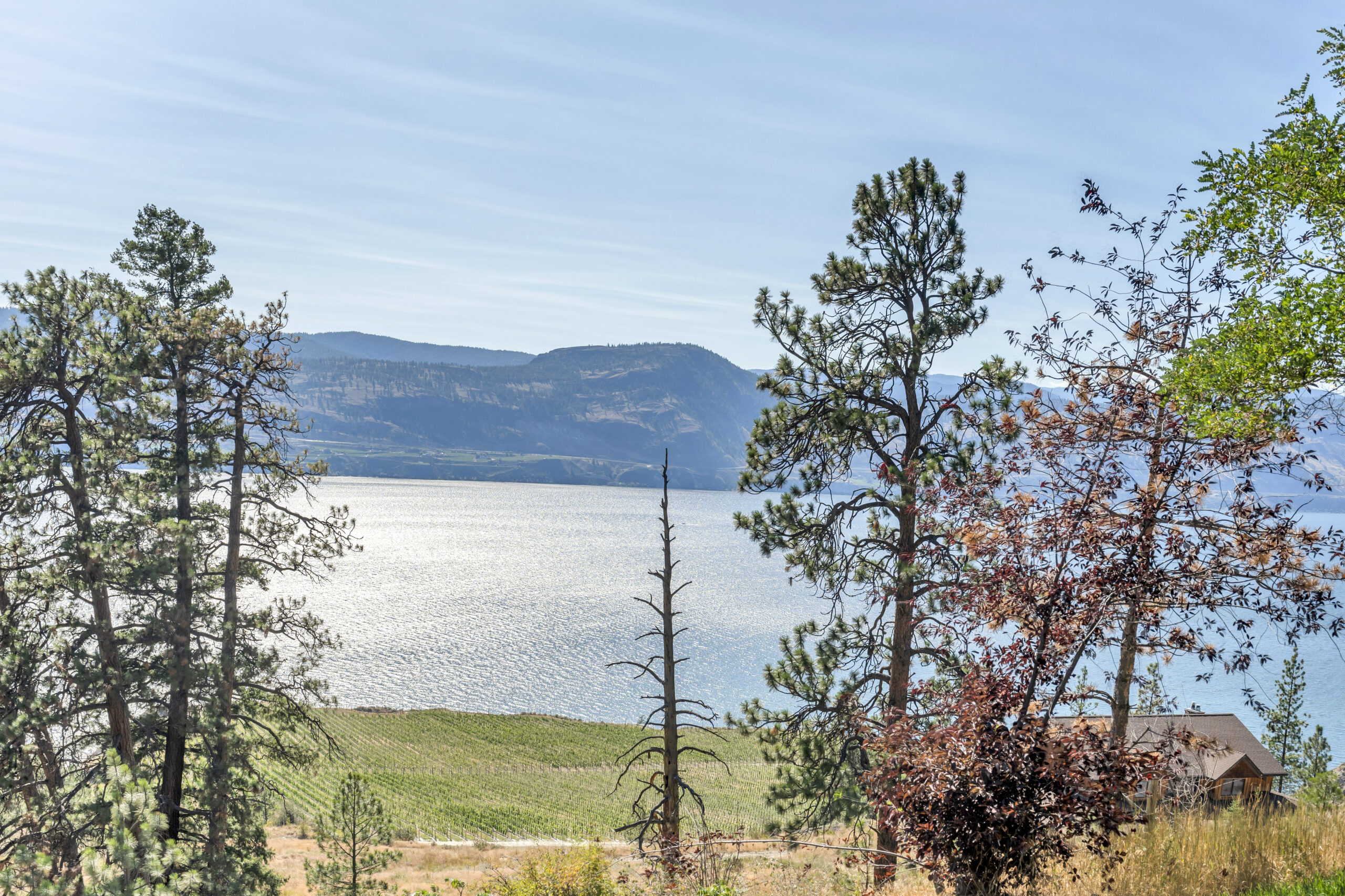 6301 North Naramata Road Naramata V0H 1N1