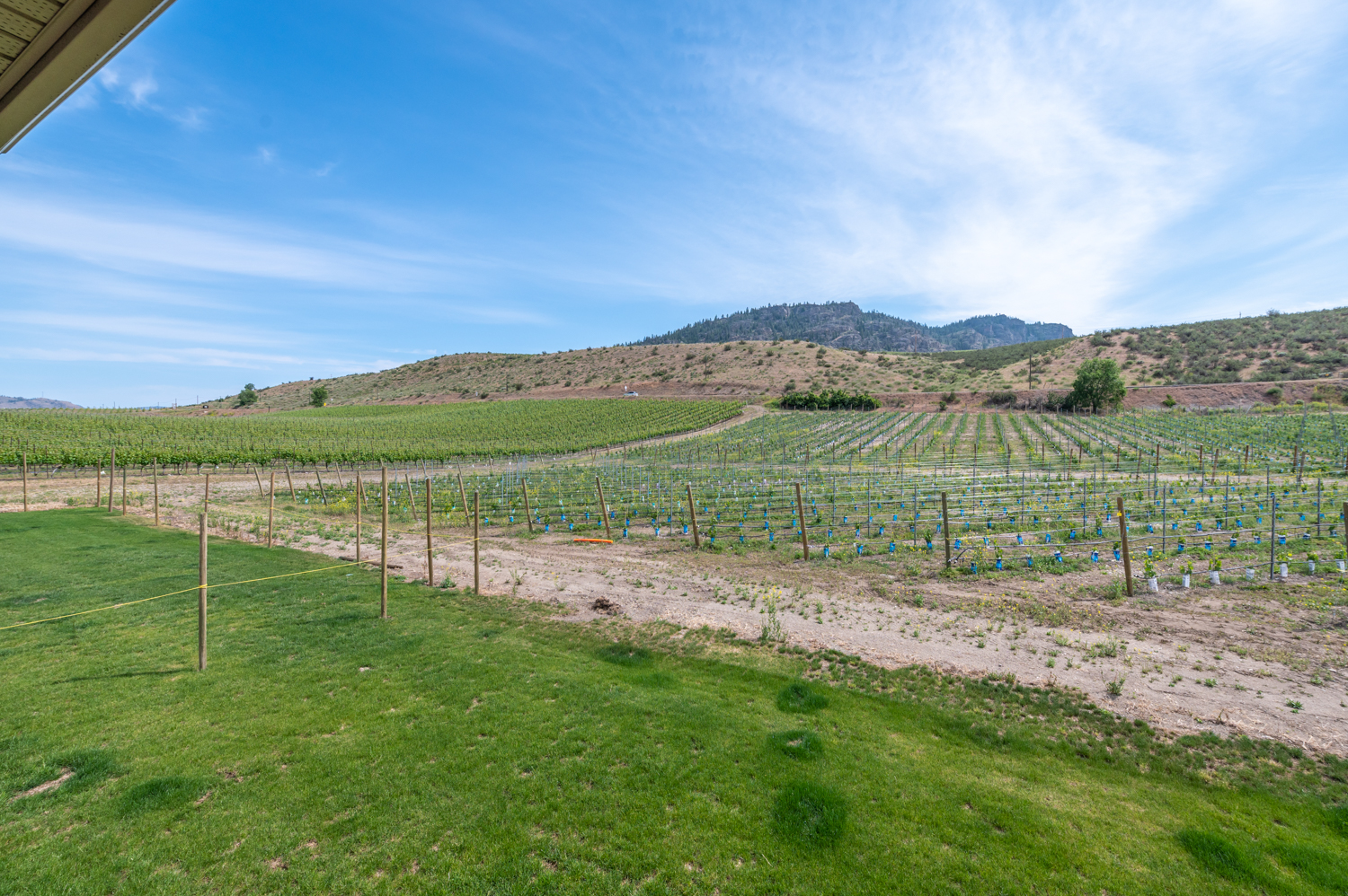 4535 Ryegrass Road Oliver V0H 1T0
