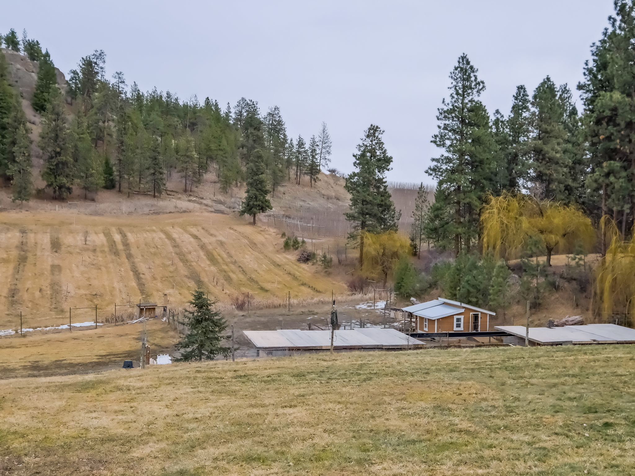 5617 Simpson Road Summerland V0H 1Z2