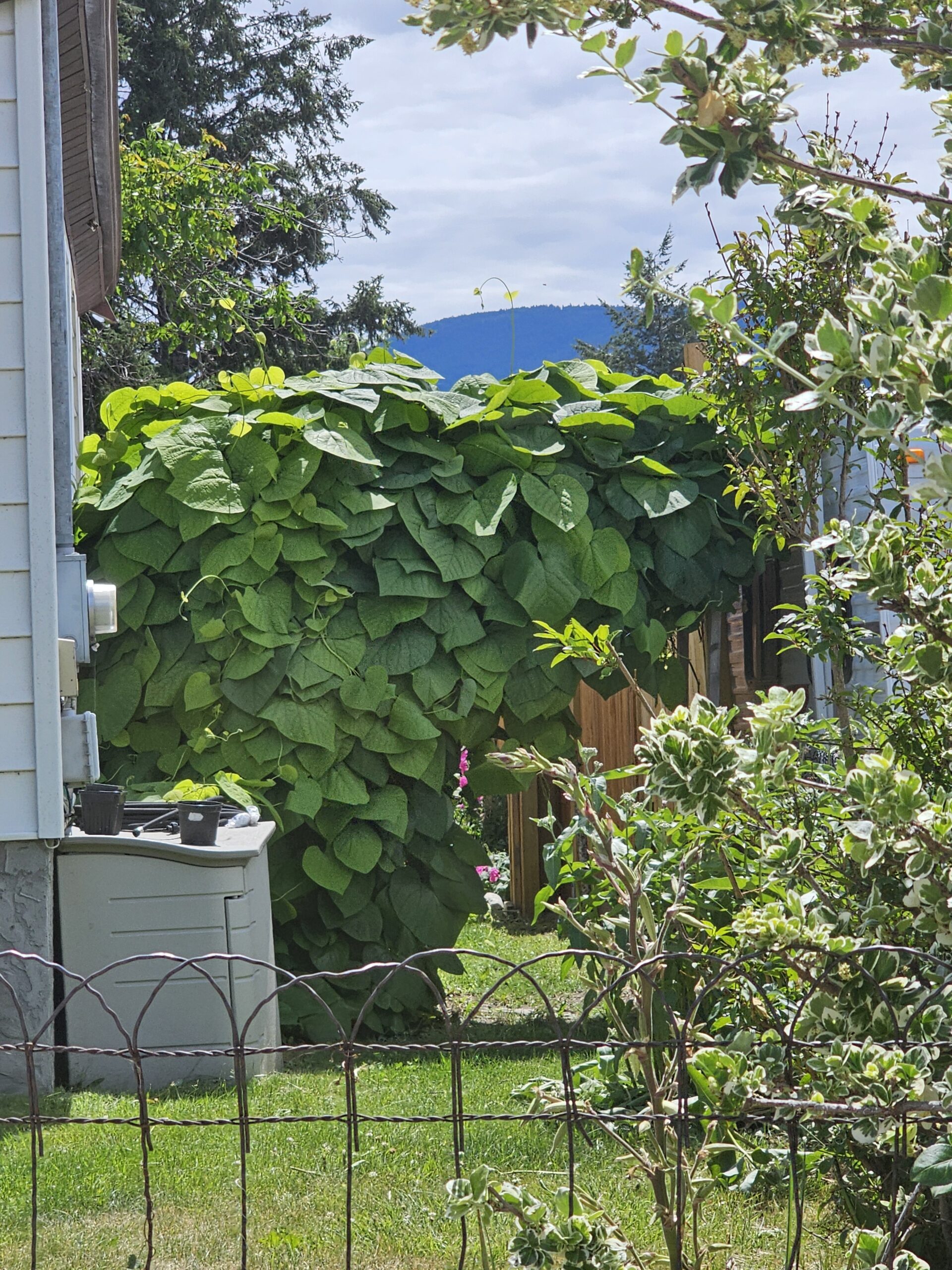 902 Barrington Avenue Penticton V2A 1S3