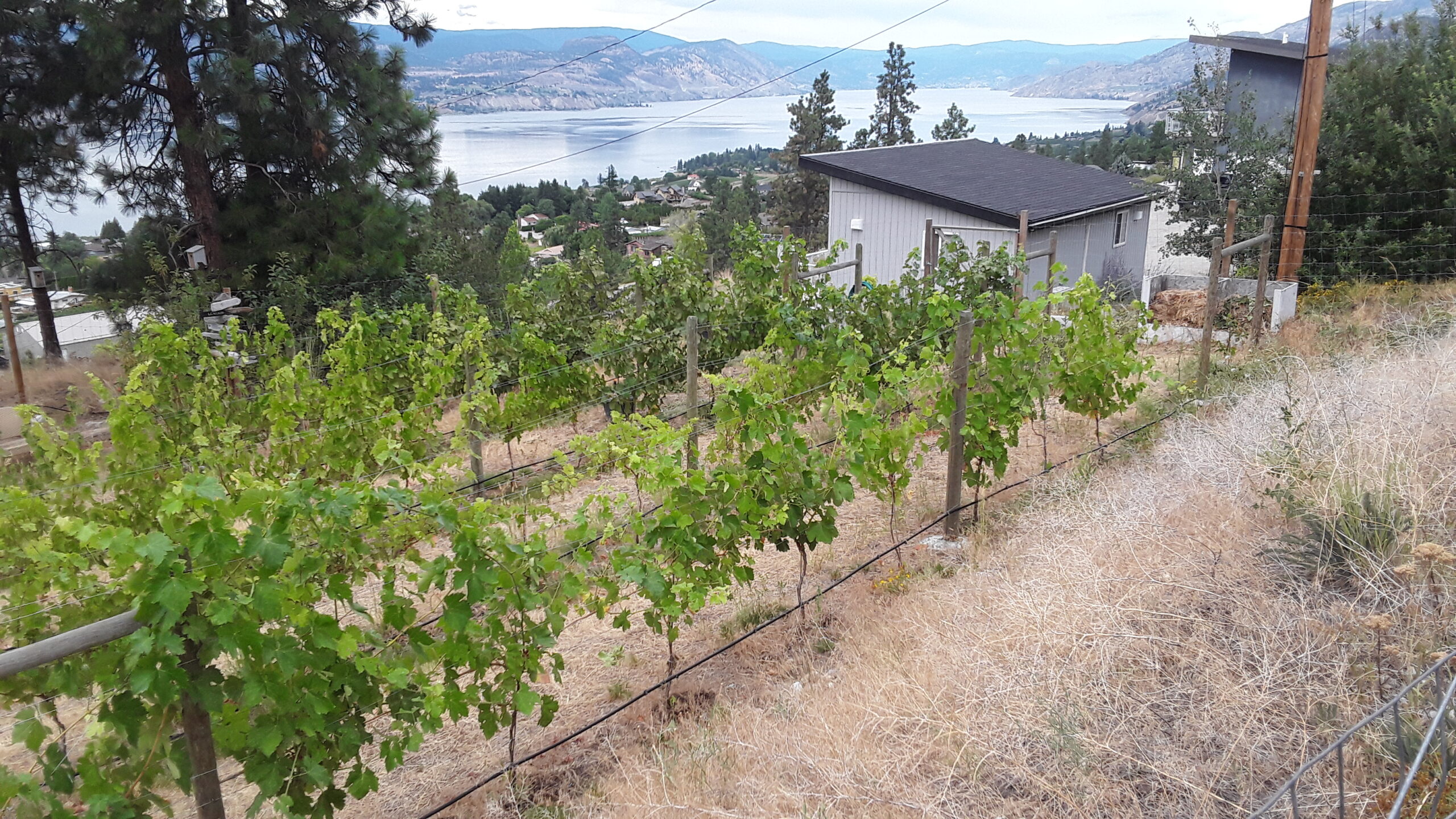2502 Winifred Road Naramata