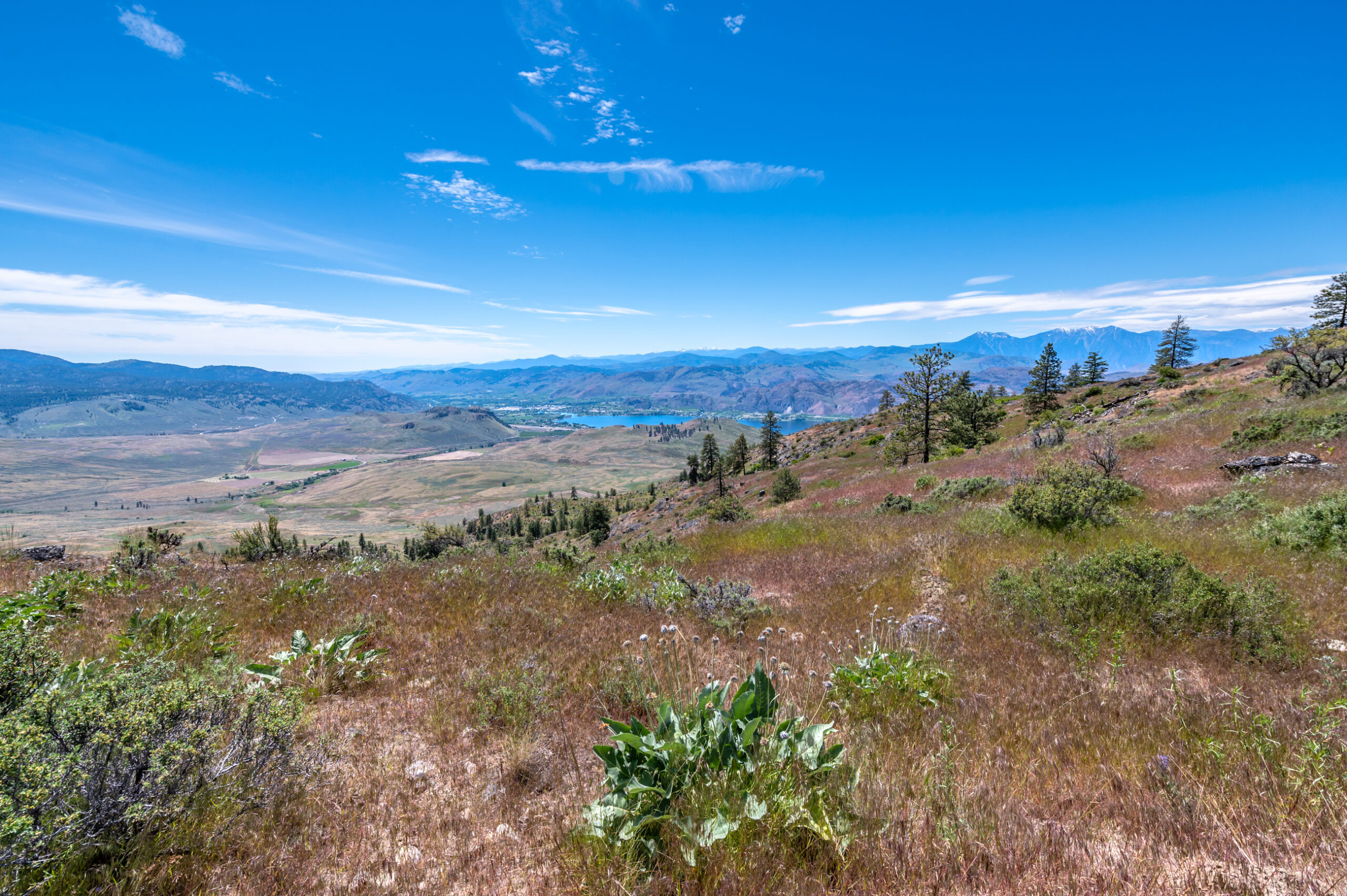 Lot 12 Bighorn Point Osoyoos V0H 1V6