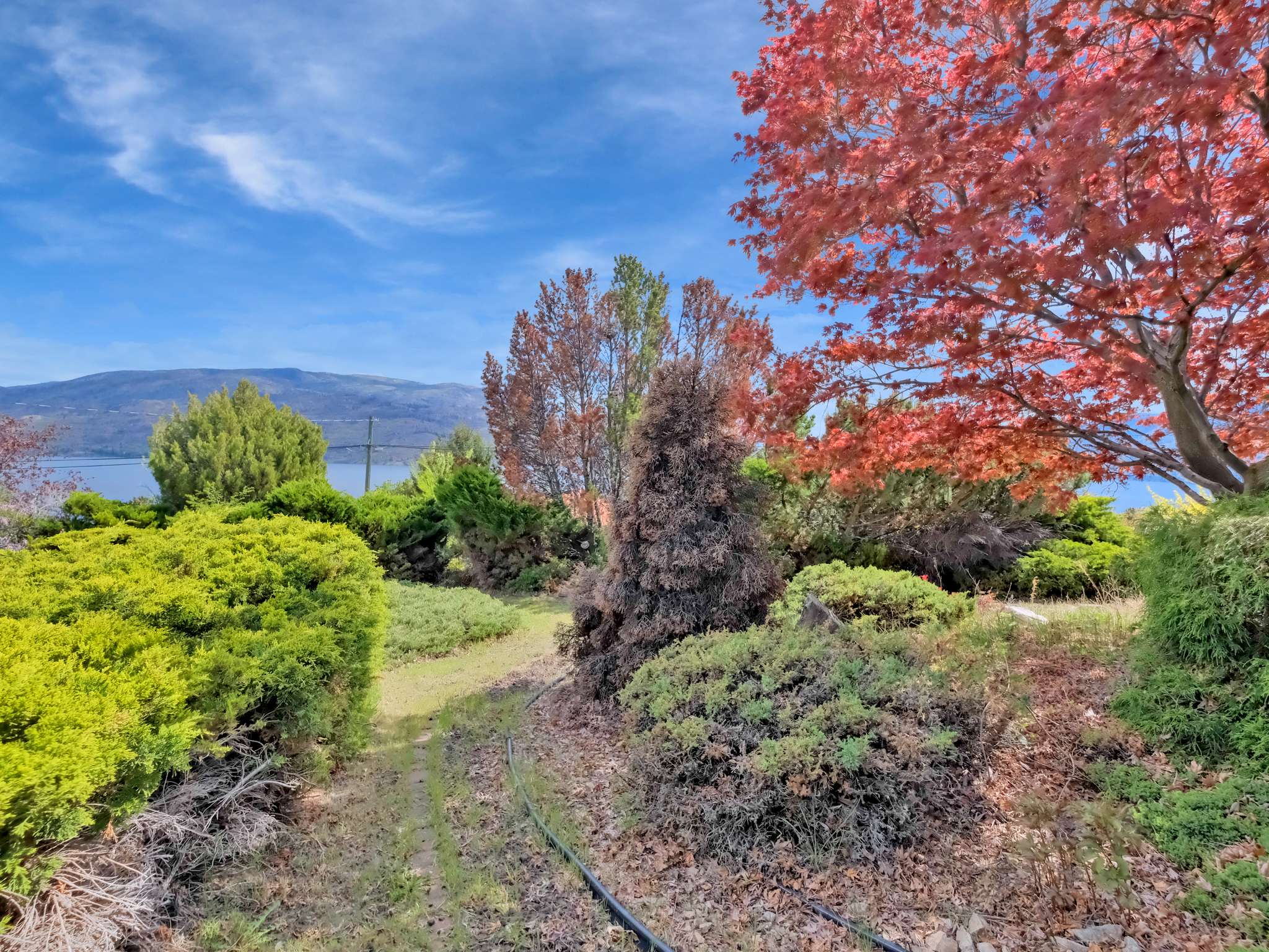 6085 Beatrice Road Peachland V0H 1X4