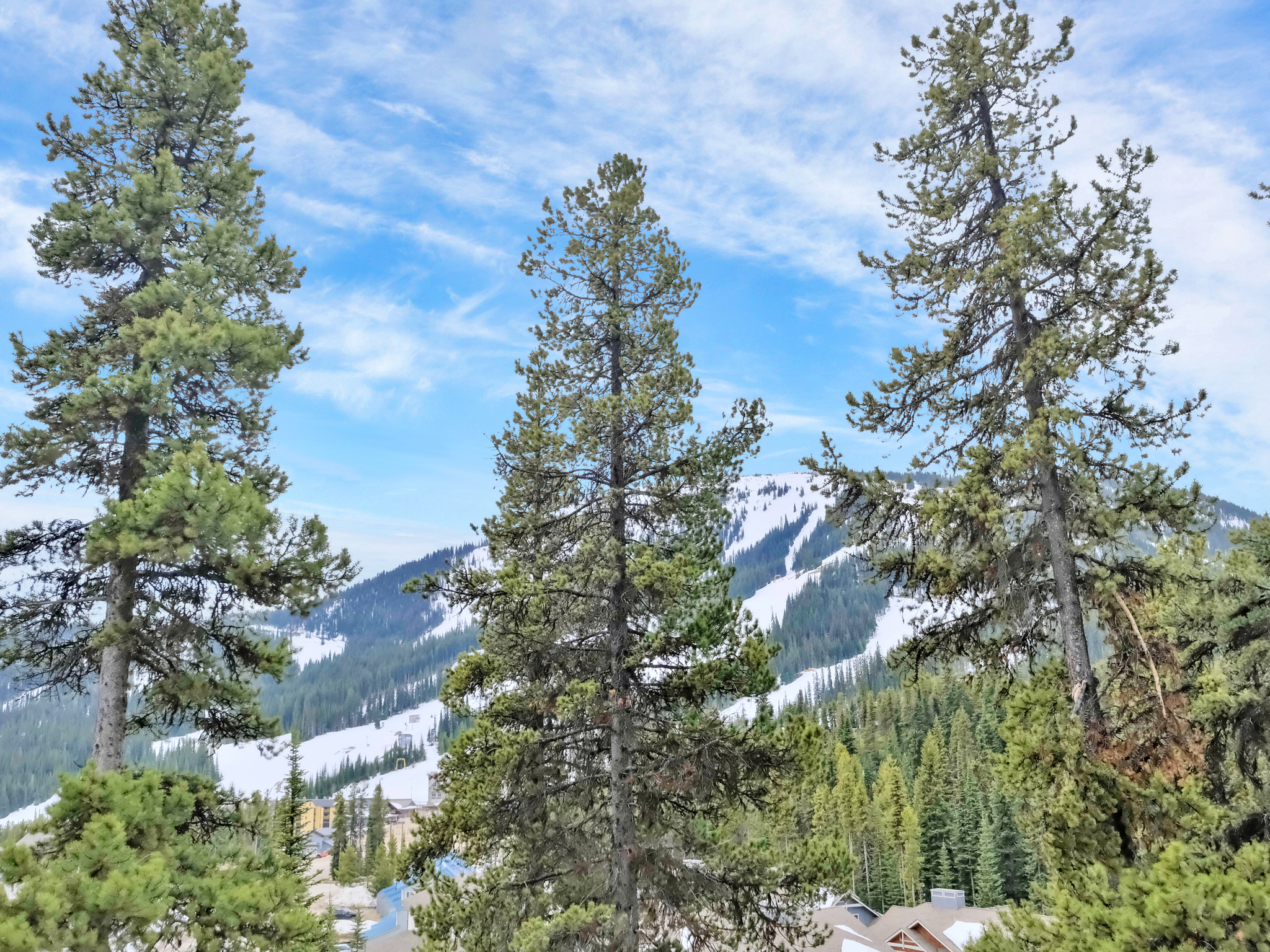 225 Clearview Road 903 Apex Mountain V0X 1K0