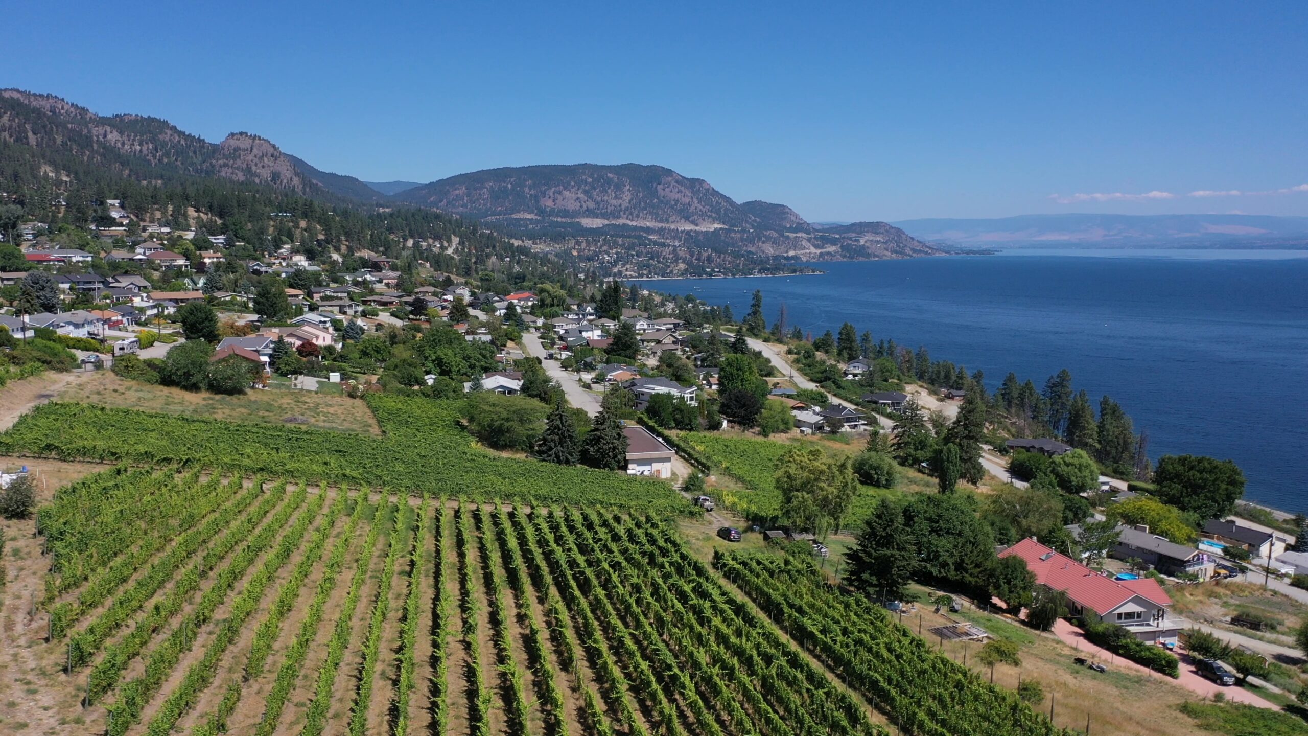 6212 Gummow Road & 6266 Lipsett Avenue Peachland V0H 1X7