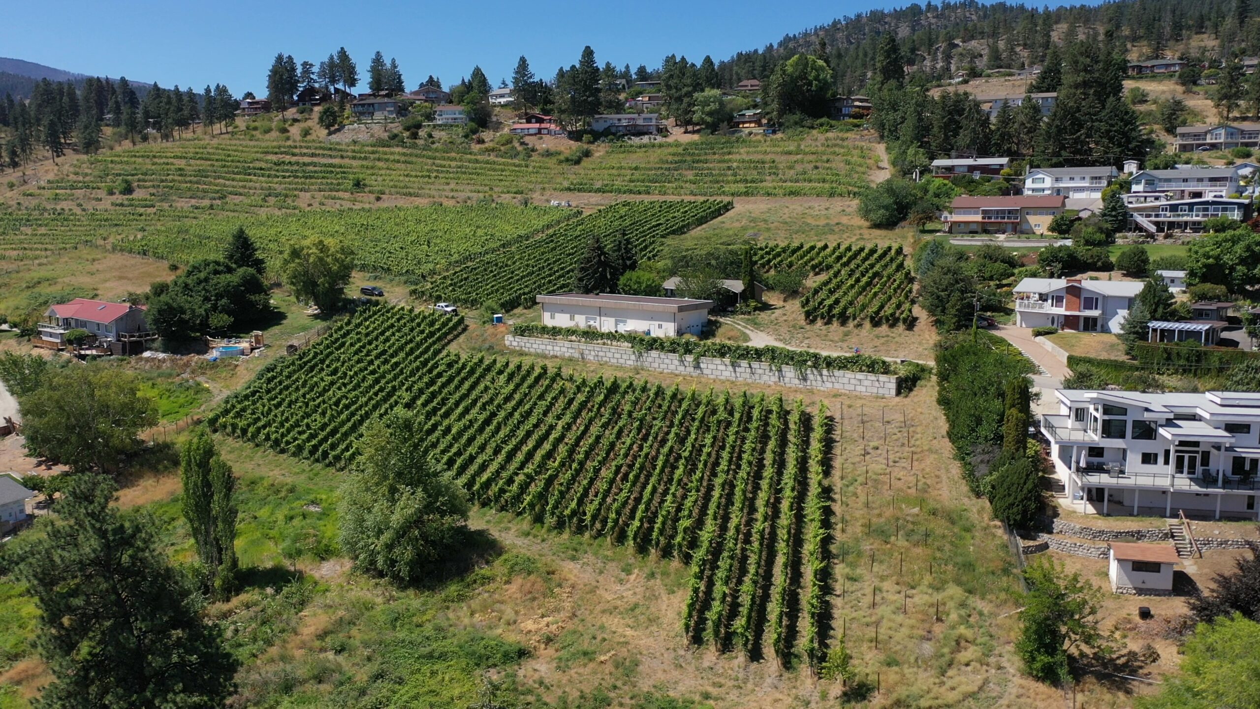6212 Gummow Road & 6266 Lipsett Avenue Peachland V0H 1X7