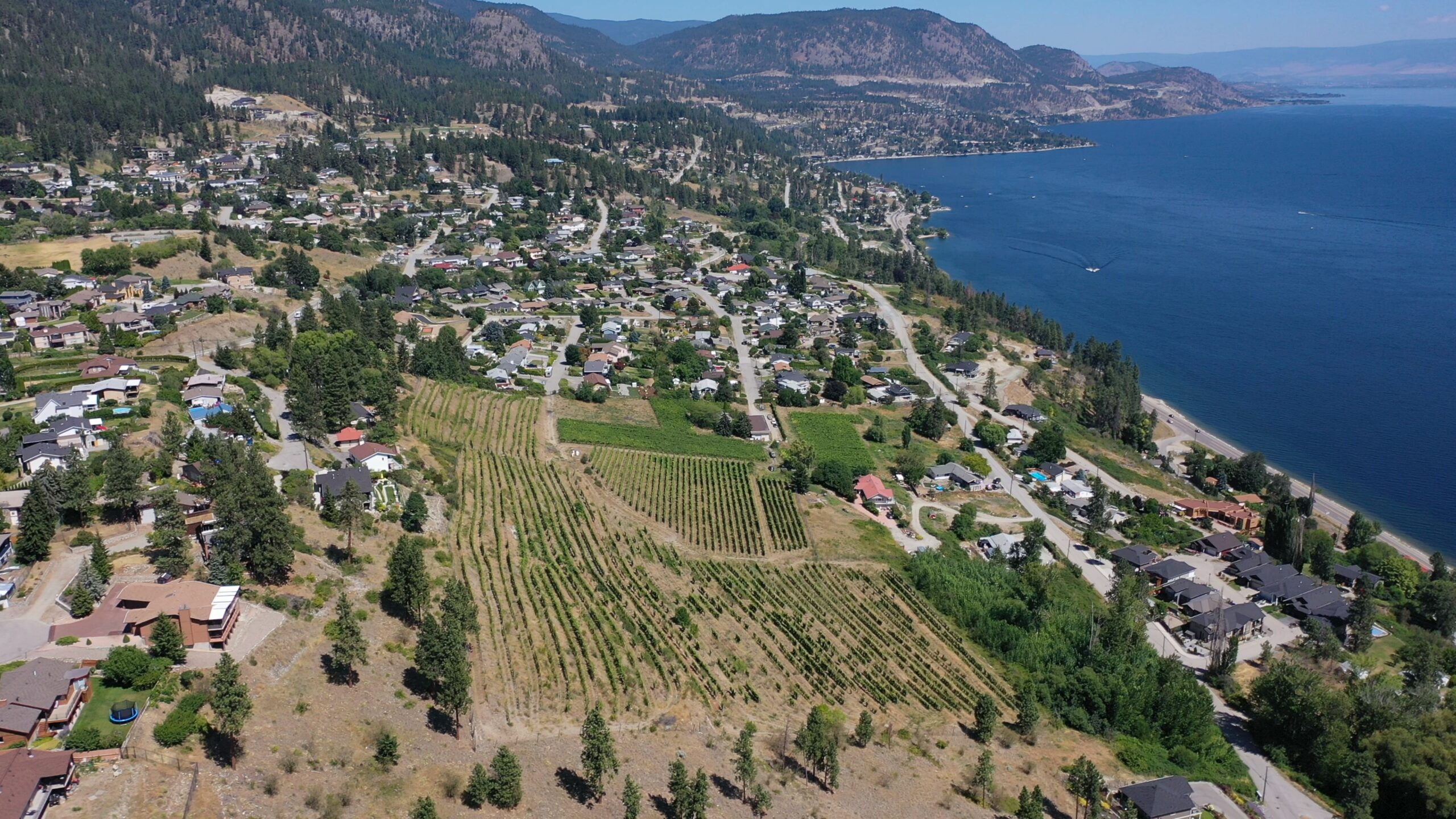 6212 Gummow Road & 6266 Lipsett Avenue Peachland V0H 1X7
