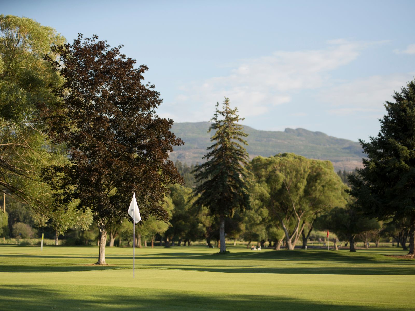 916 Bull Crescent Kelowna V2Y 0E2