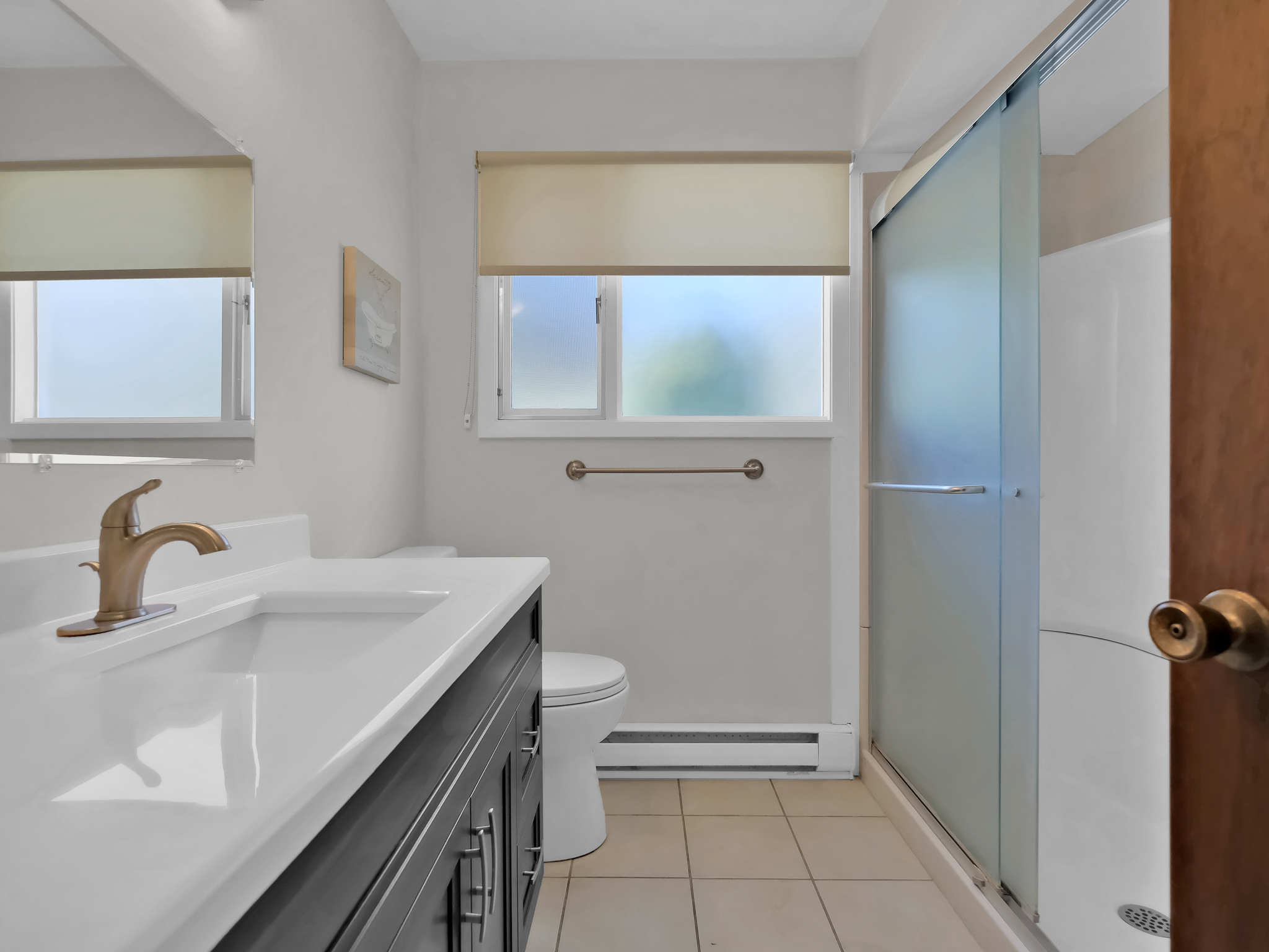 339 Devon Drive Okanagan Falls V0H 1R5