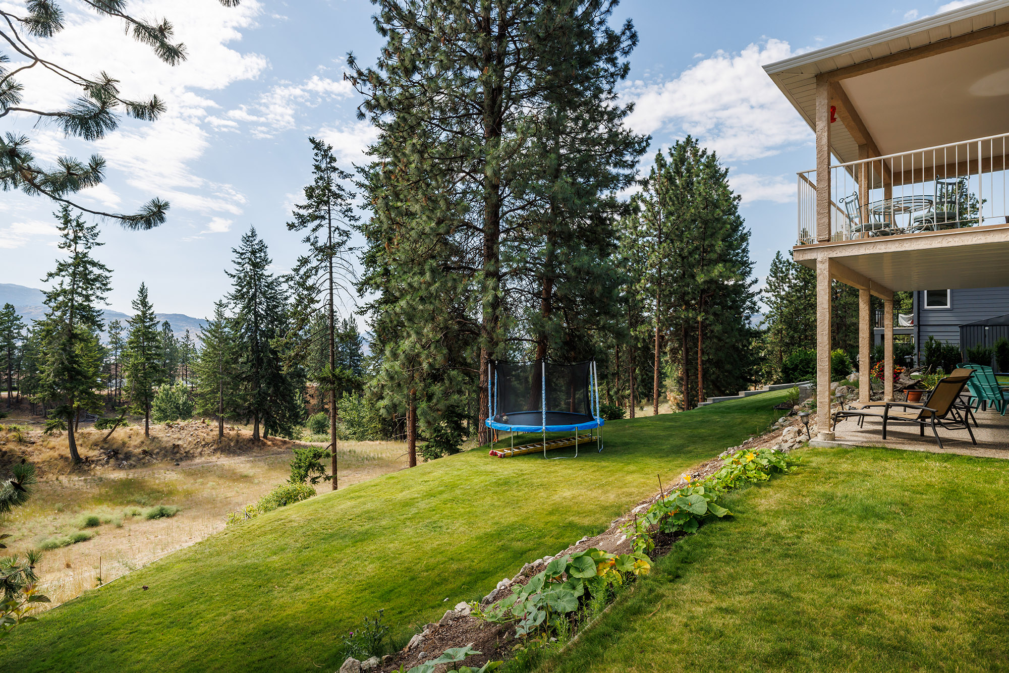 4607 Ponderosa Peachland