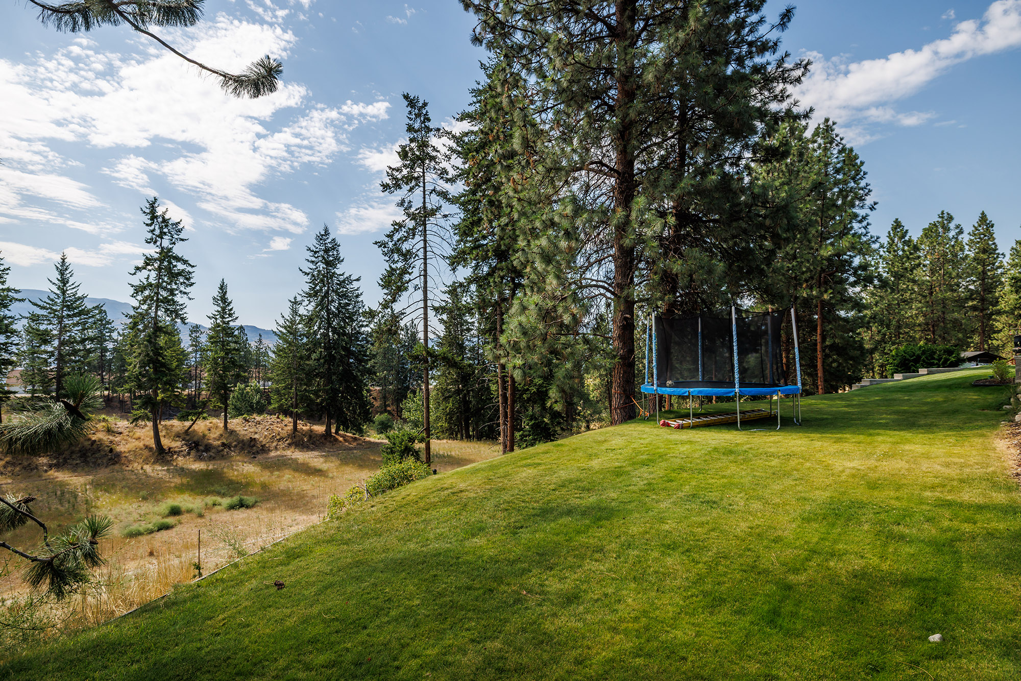 4607 Ponderosa Peachland