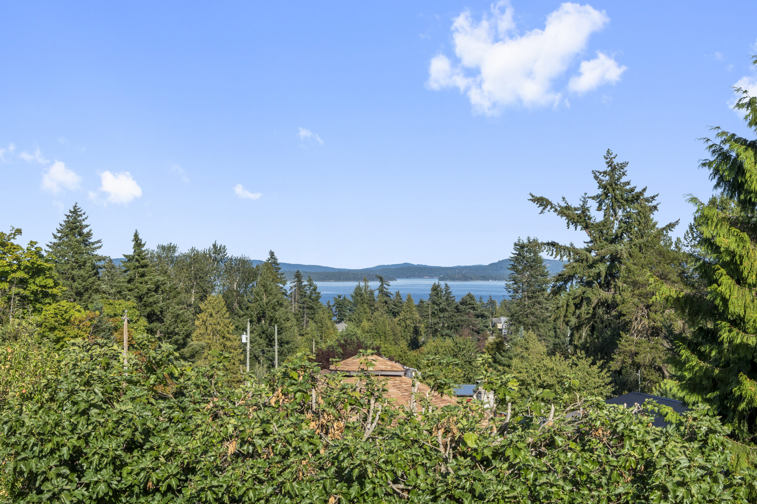 3258 Douglas Street Chemainus V0R1K2