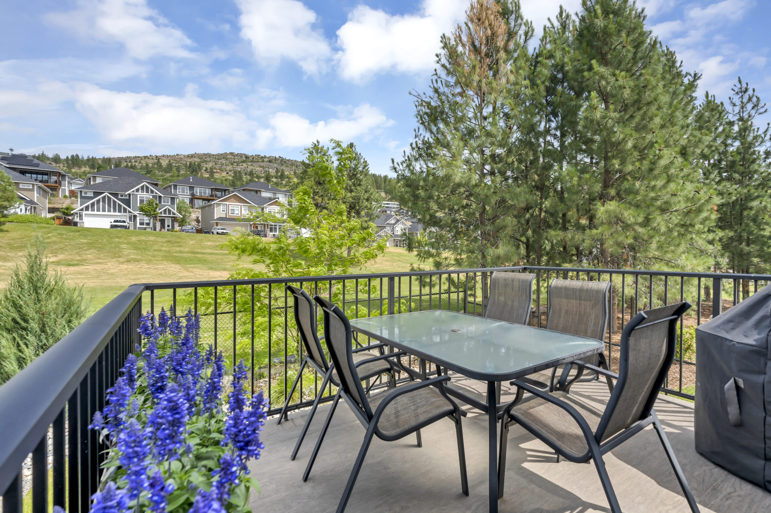 993 Antler Drive 101 Penticton V2A 0C8