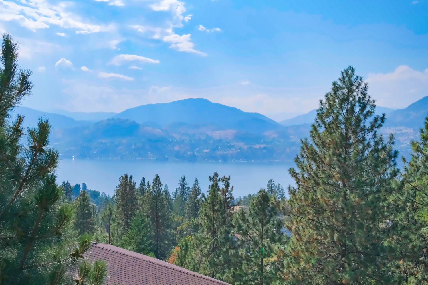 159 Christie Mountain Lane Okanagan Falls V0H 1R3