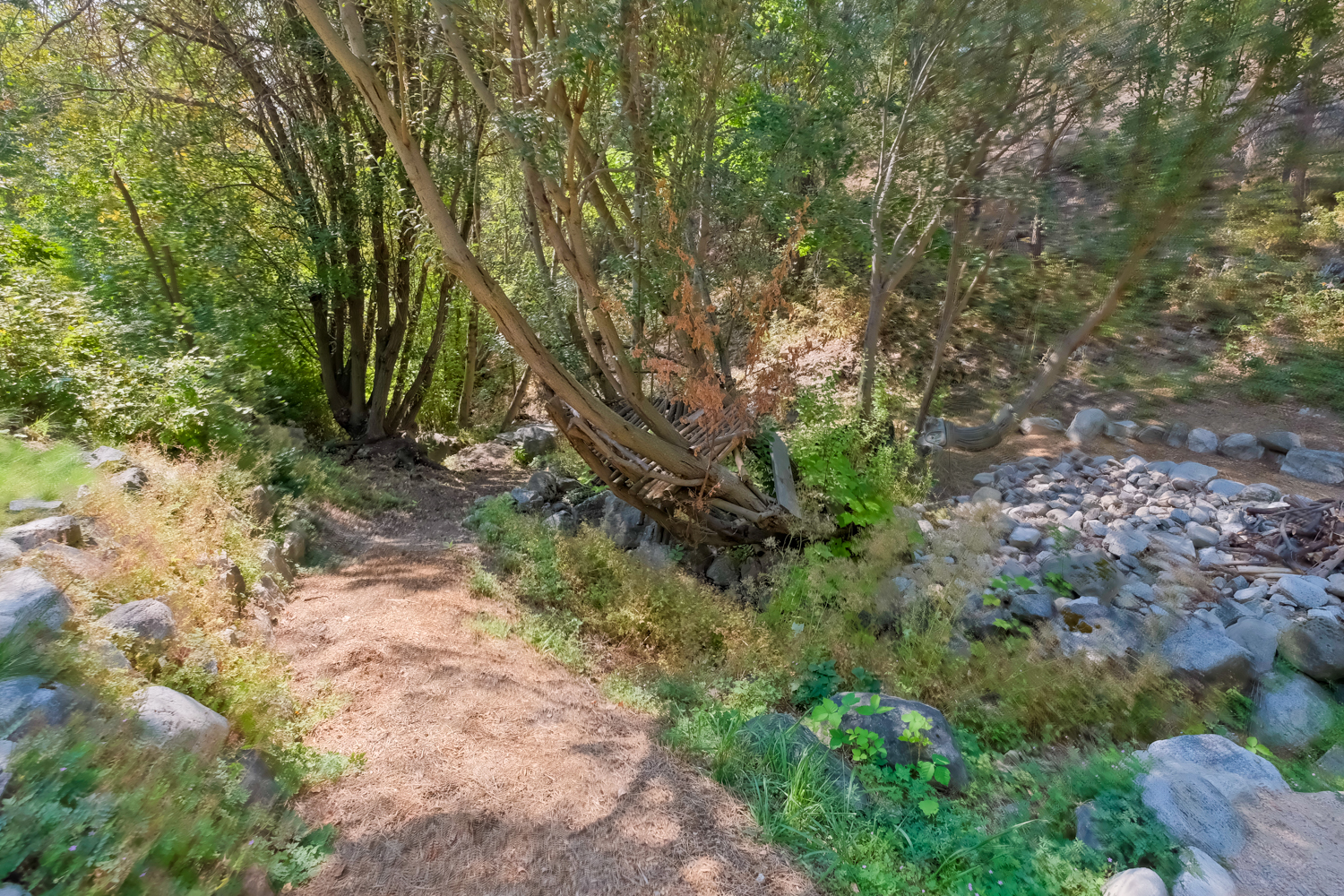 159 Christie Mountain Lane Okanagan Falls V0H 1R3