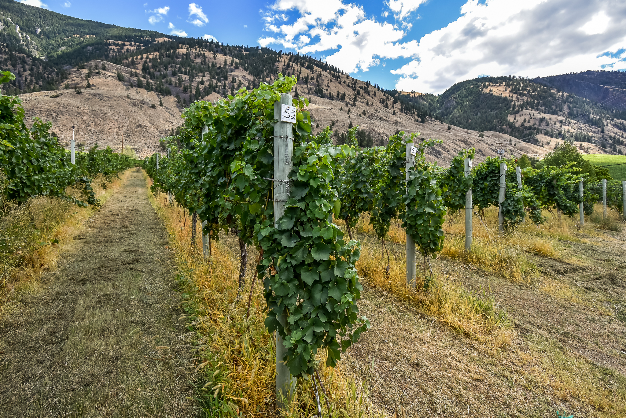 1143 Highway 3 Cawston V0X 1C3