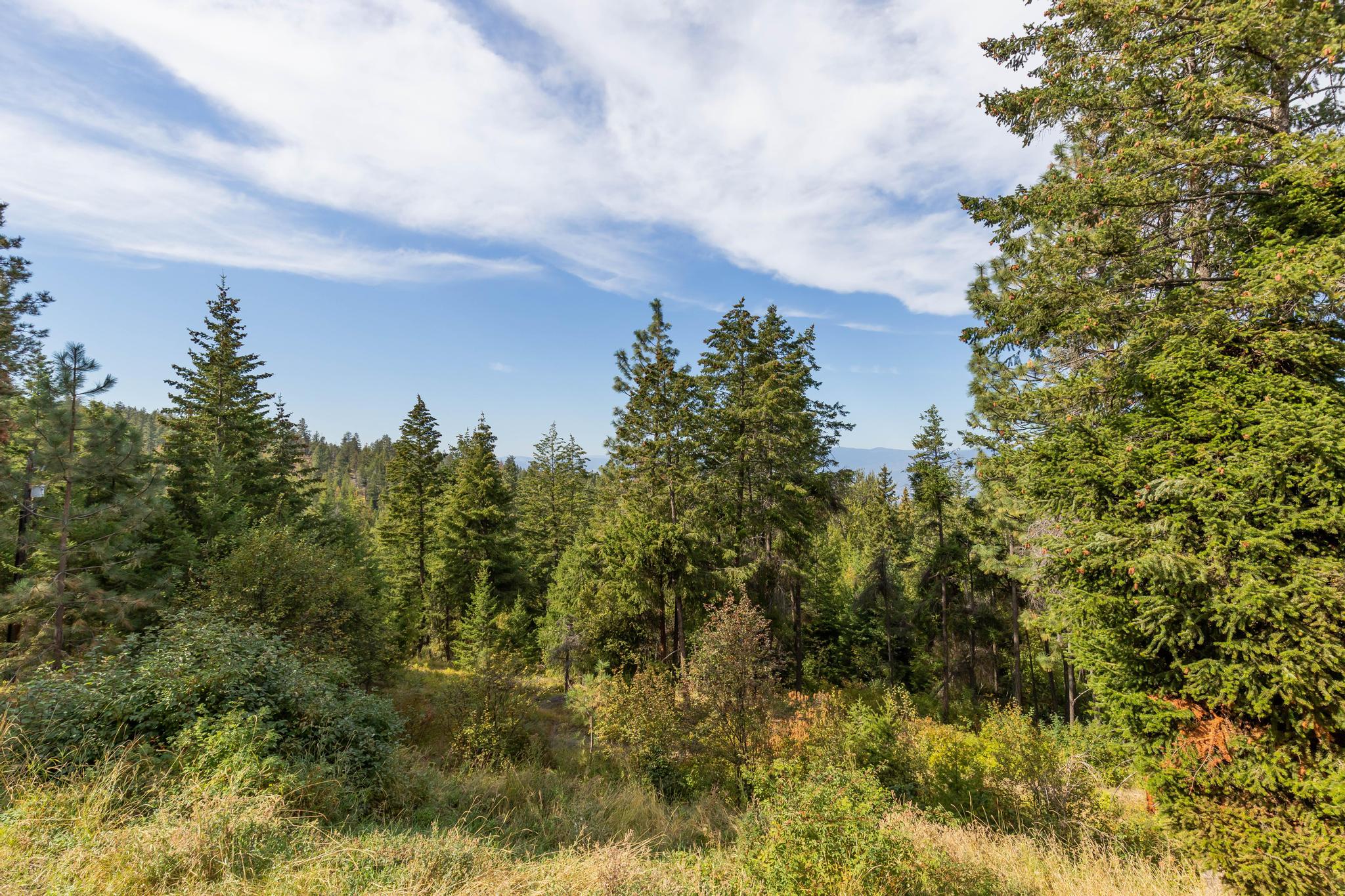 4444 June Springs Road Kelowna V1W 4C8
