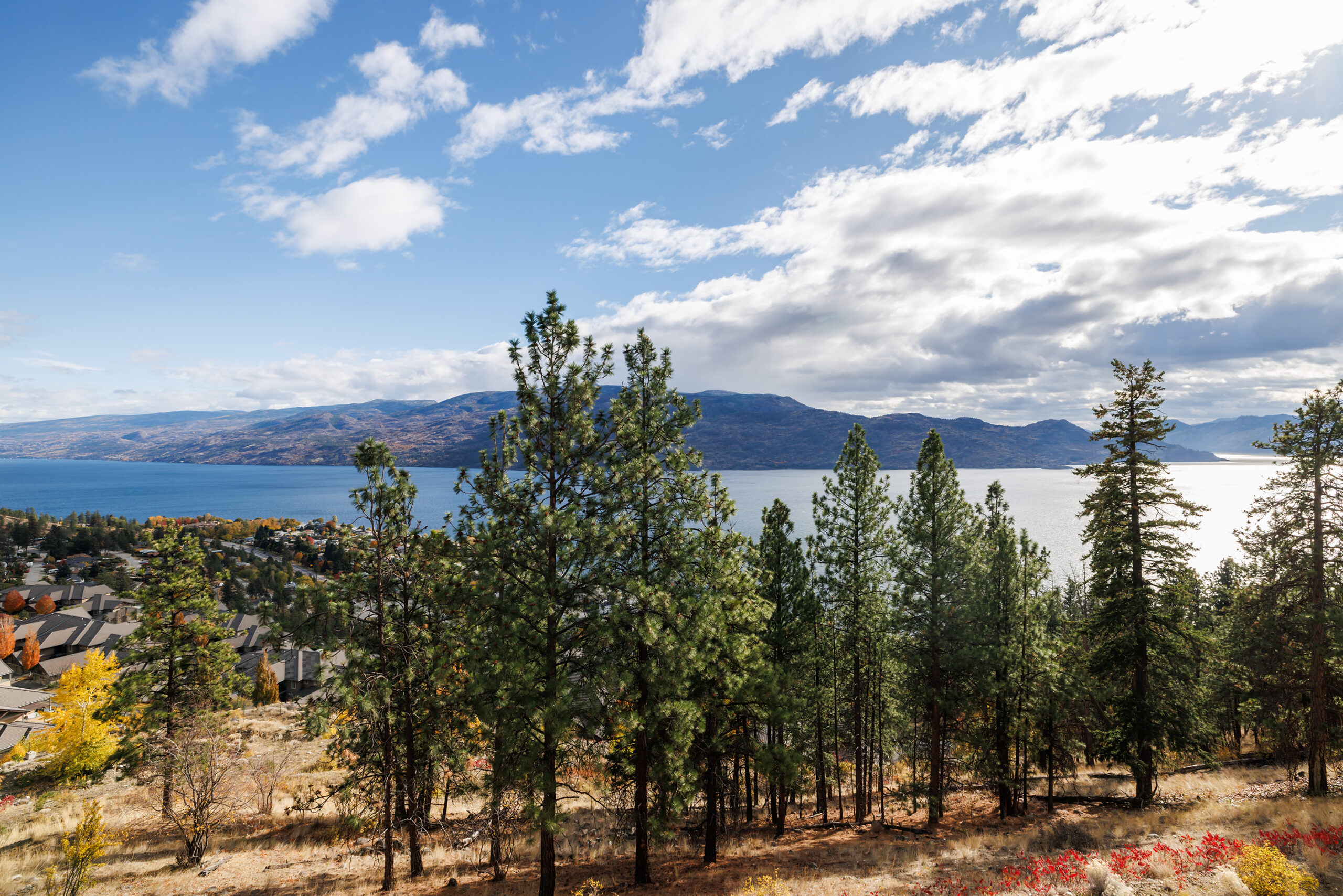 4450 Ponderosa Drive 204 Peachland V0H 1X5