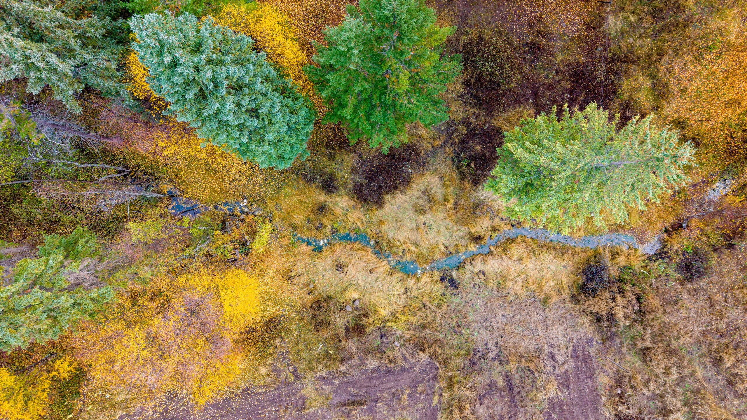 645 Grand Oro Road Kaleden V0H 1K0