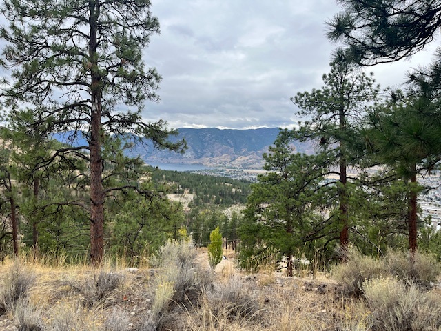 149 Saliken Drive Penticton V2A 8V6