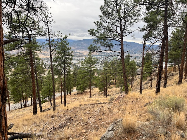 149 Saliken Drive Penticton V2A 8V6