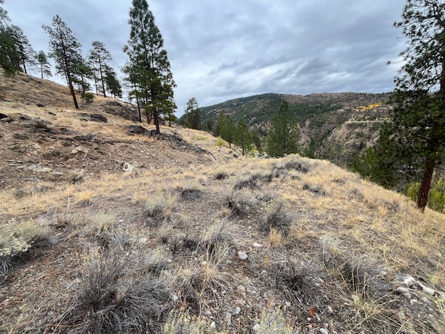 149 Saliken Drive Penticton V2A 8V6