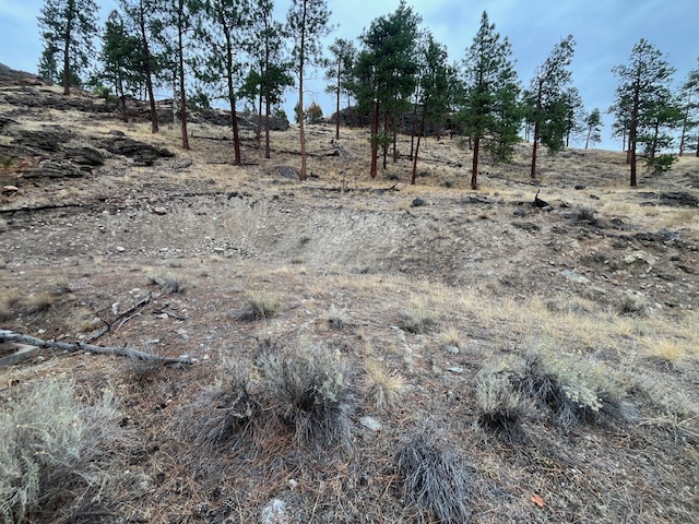 149 Saliken Drive Penticton V2A 8V6