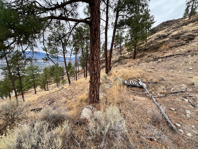 149 Saliken Drive Penticton V2A 8V6