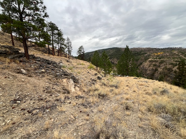 149 Saliken Drive Penticton V2A 8V6