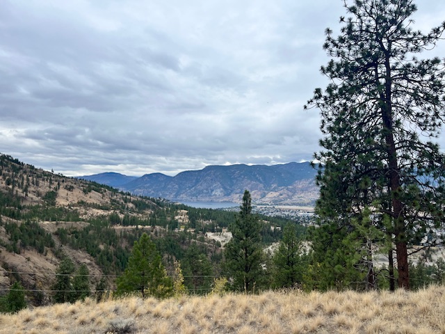 149 Saliken Drive Penticton V2A 8V6