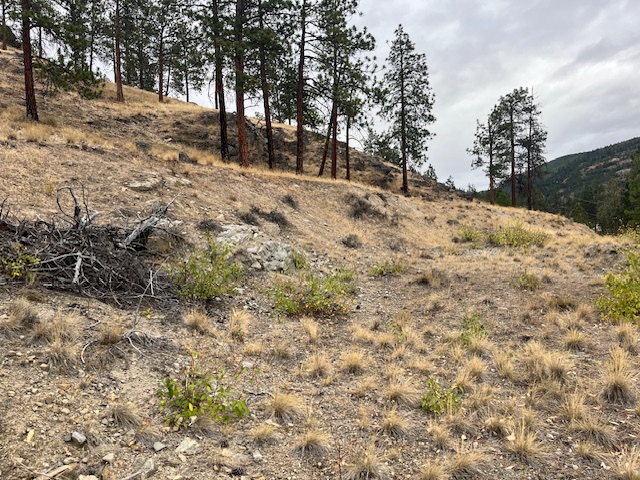 149 Saliken Drive Penticton V2A 8V6