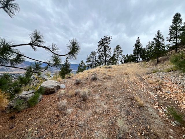 149 Saliken Drive Penticton V2A 8V6