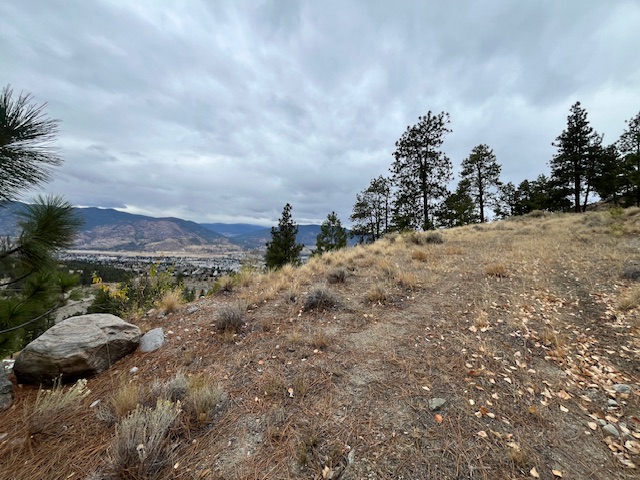 149 Saliken Drive Penticton V2A 8V6