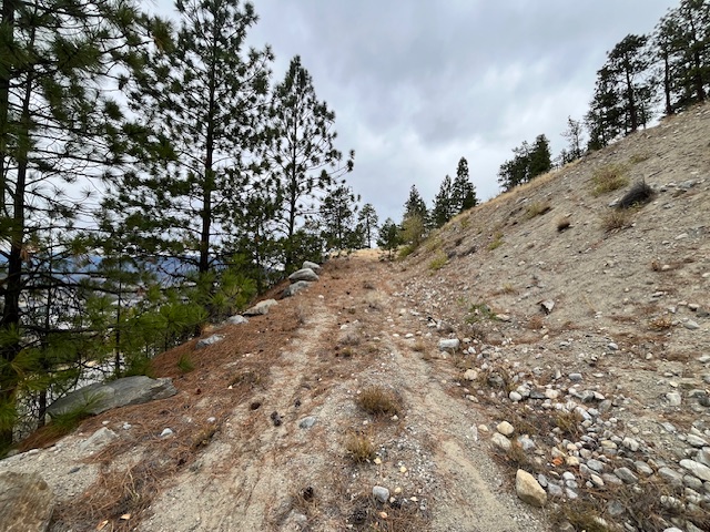 149 Saliken Drive Penticton V2A 8V6