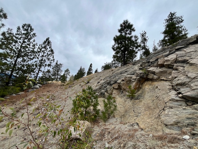 149 Saliken Drive Penticton V2A 8V6