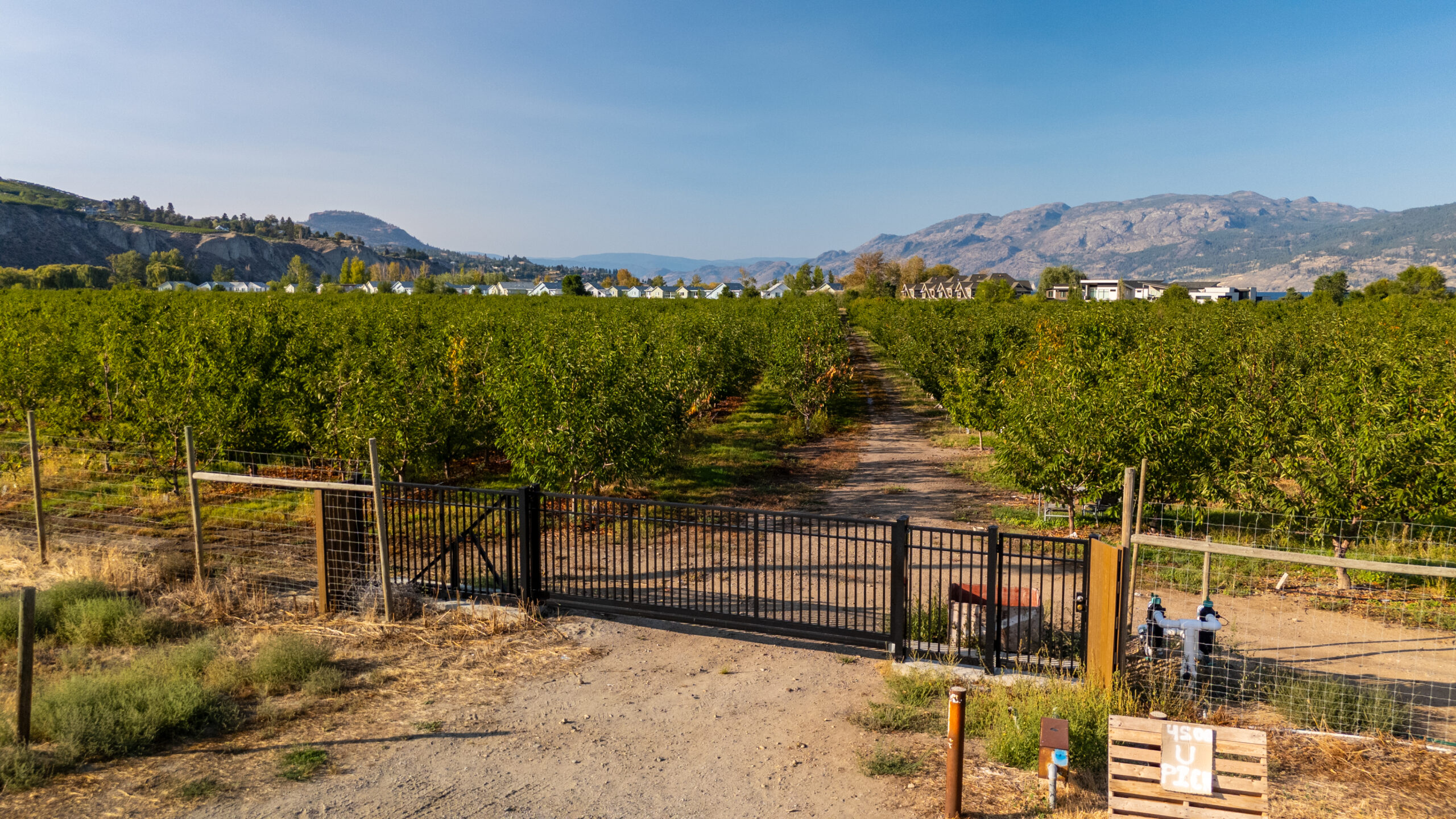 4500 Landry Crescent Summerland V0H 1Z9