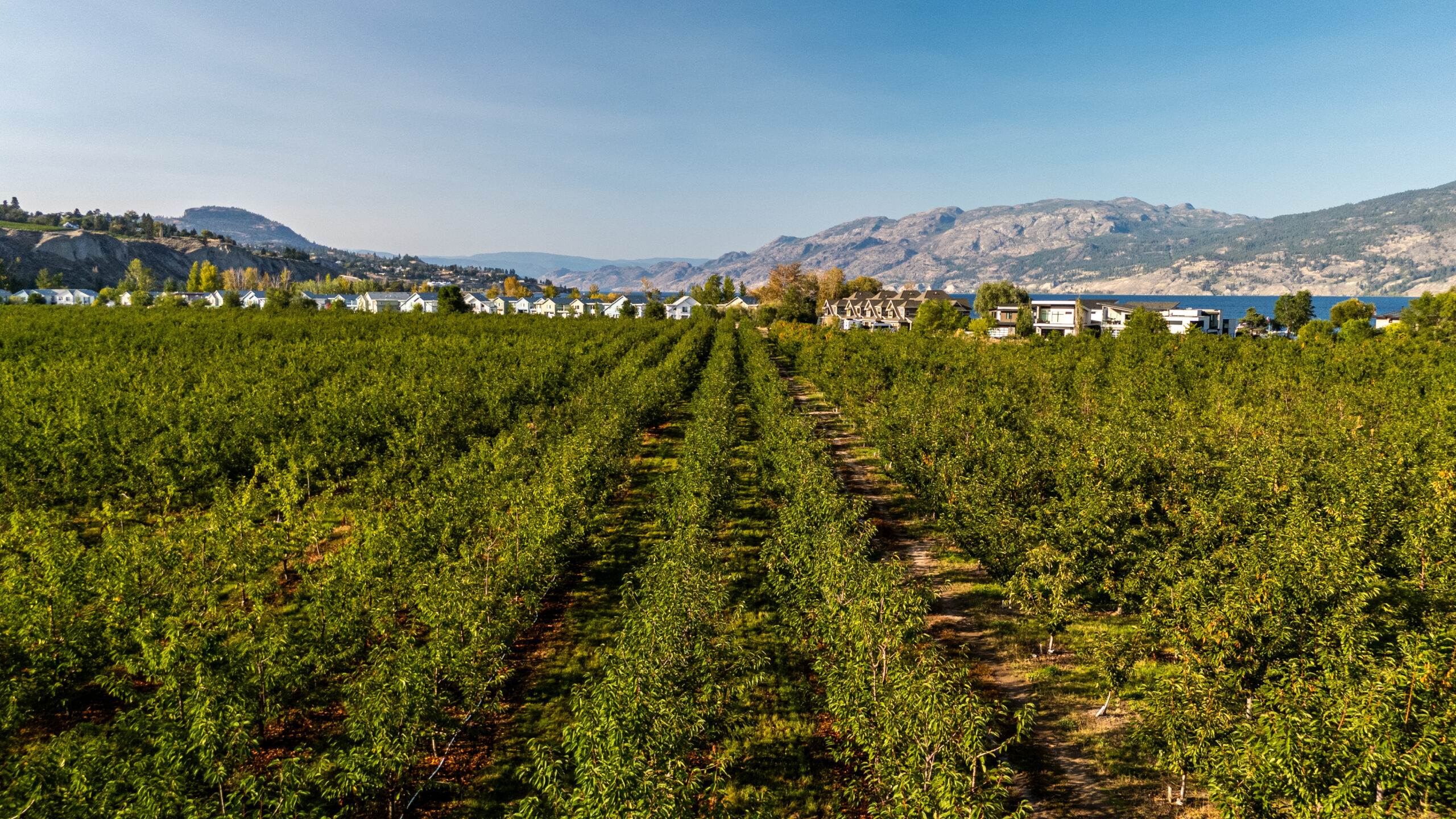 4500 Landry Crescent Summerland V0H 1Z9