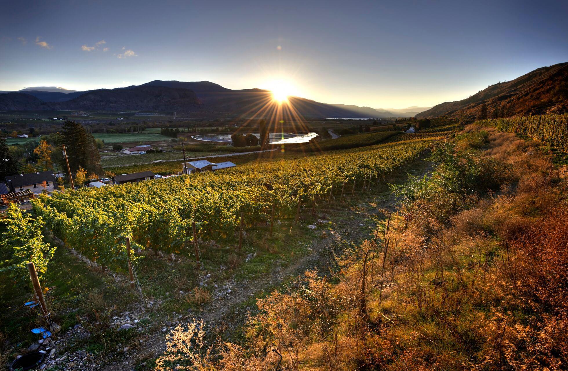 3974 Highway 97 Oliver V0H 1T1