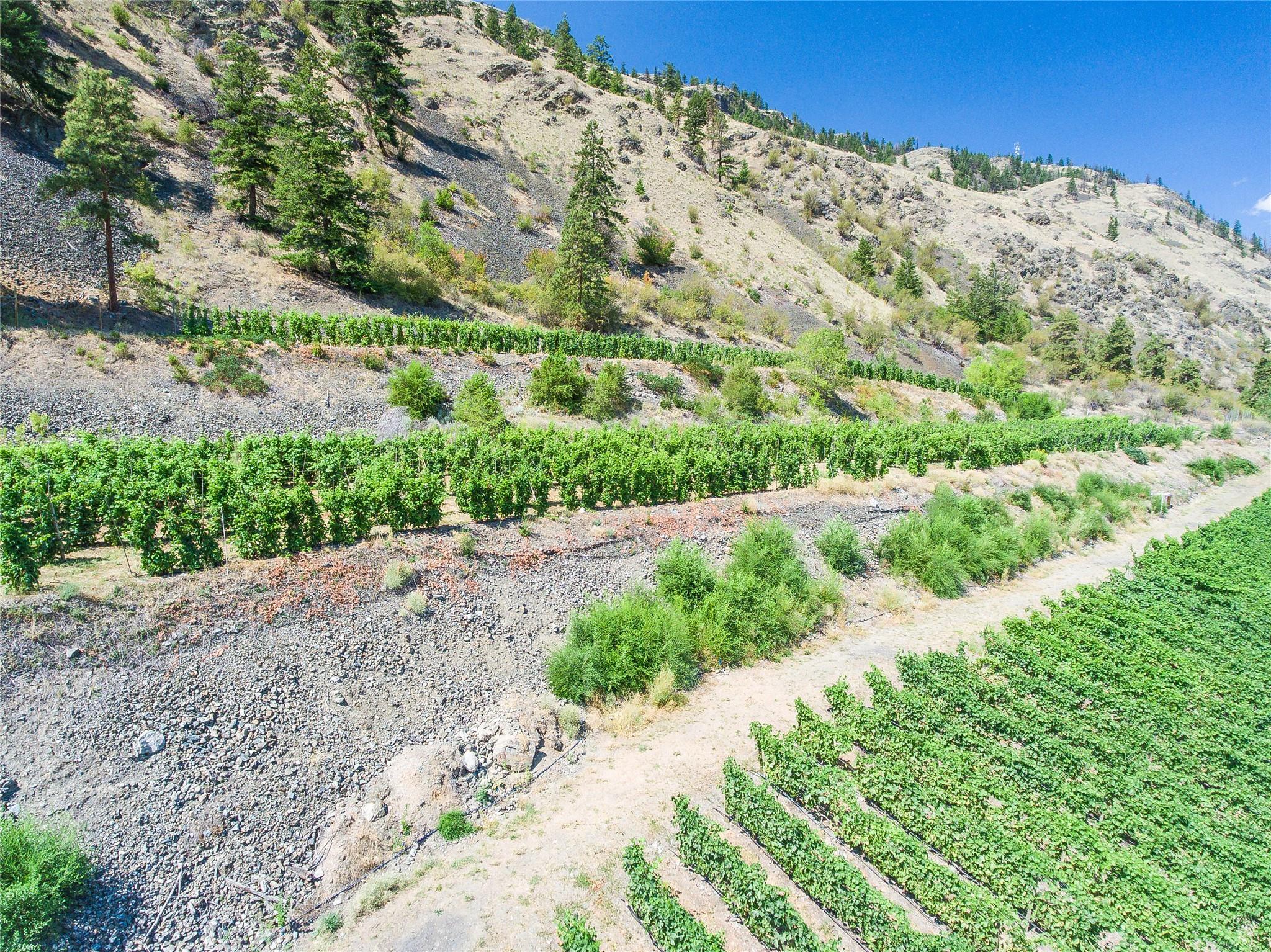 3974 Highway 97 Oliver V0H 1T1