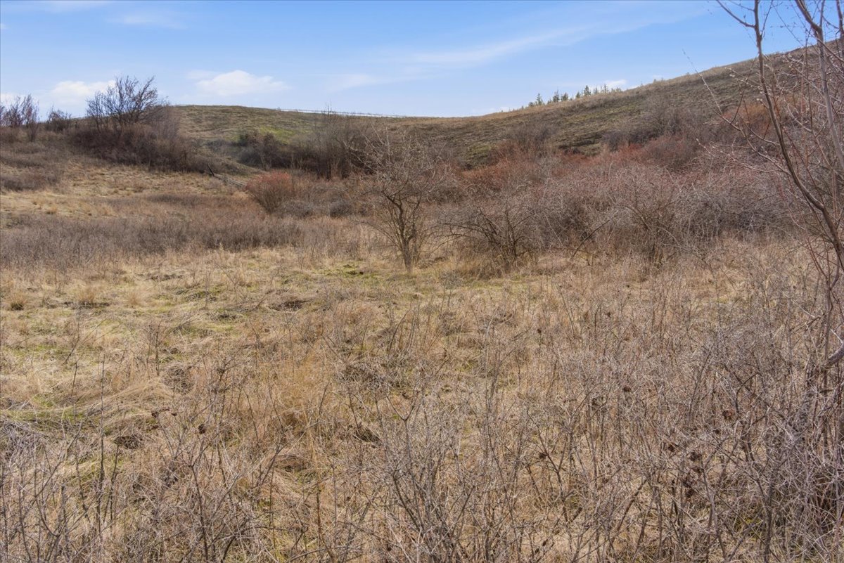 8354 Okanagan Landing Road Vernon V1H 1J5